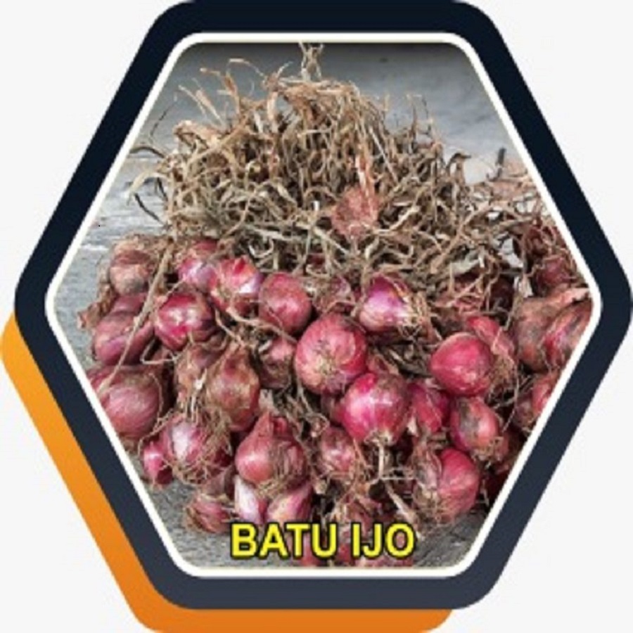 jual bibit bawang merah batu ijo bersertifikat berlabel